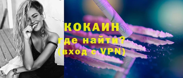 молекула духа Алексин