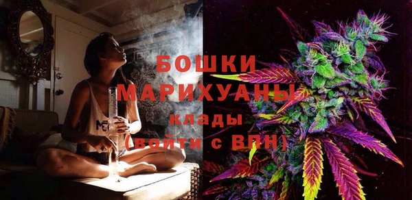 молекула духа Алексин