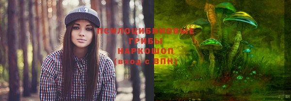 молекула духа Алексин